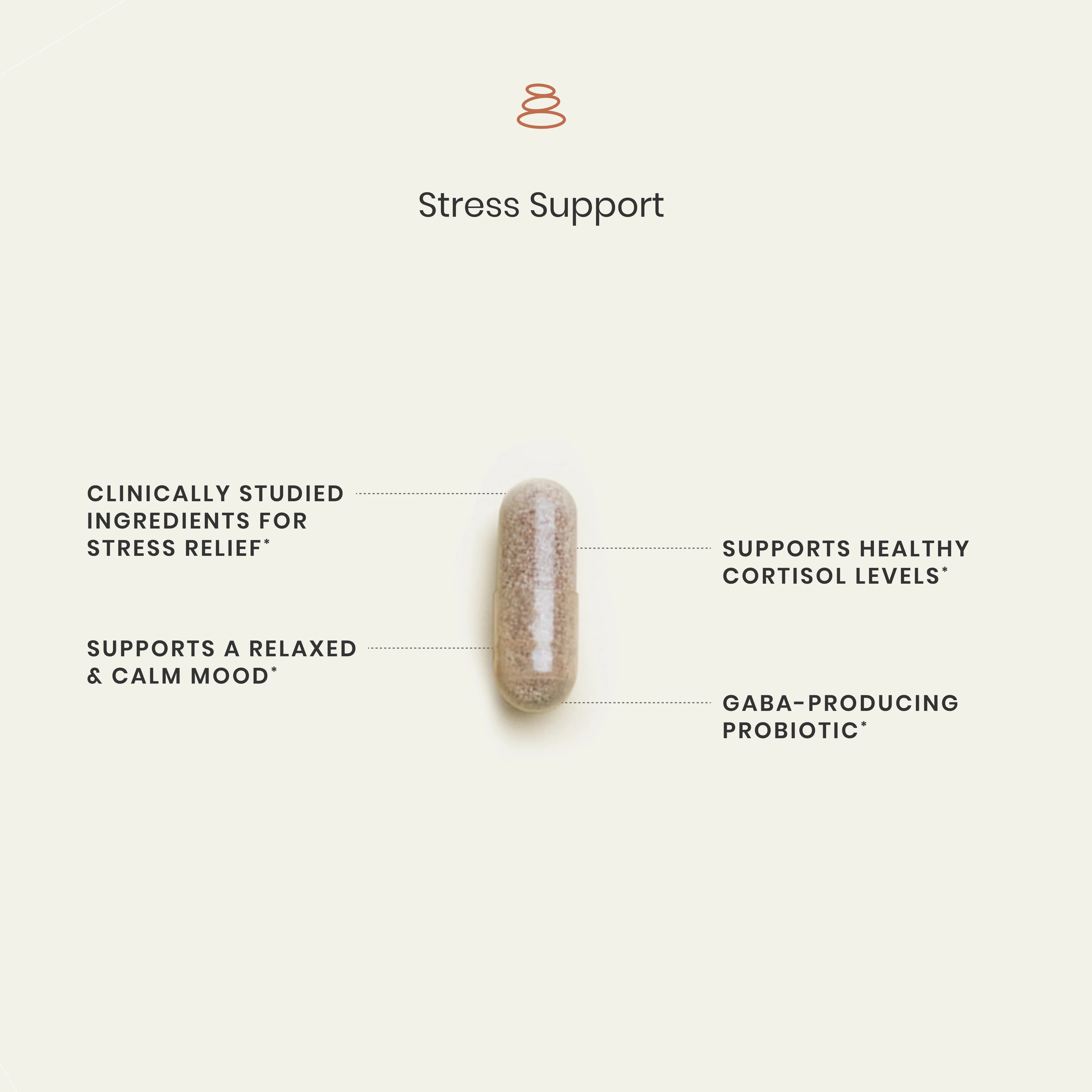 Perimenopause Bundle - Image 4