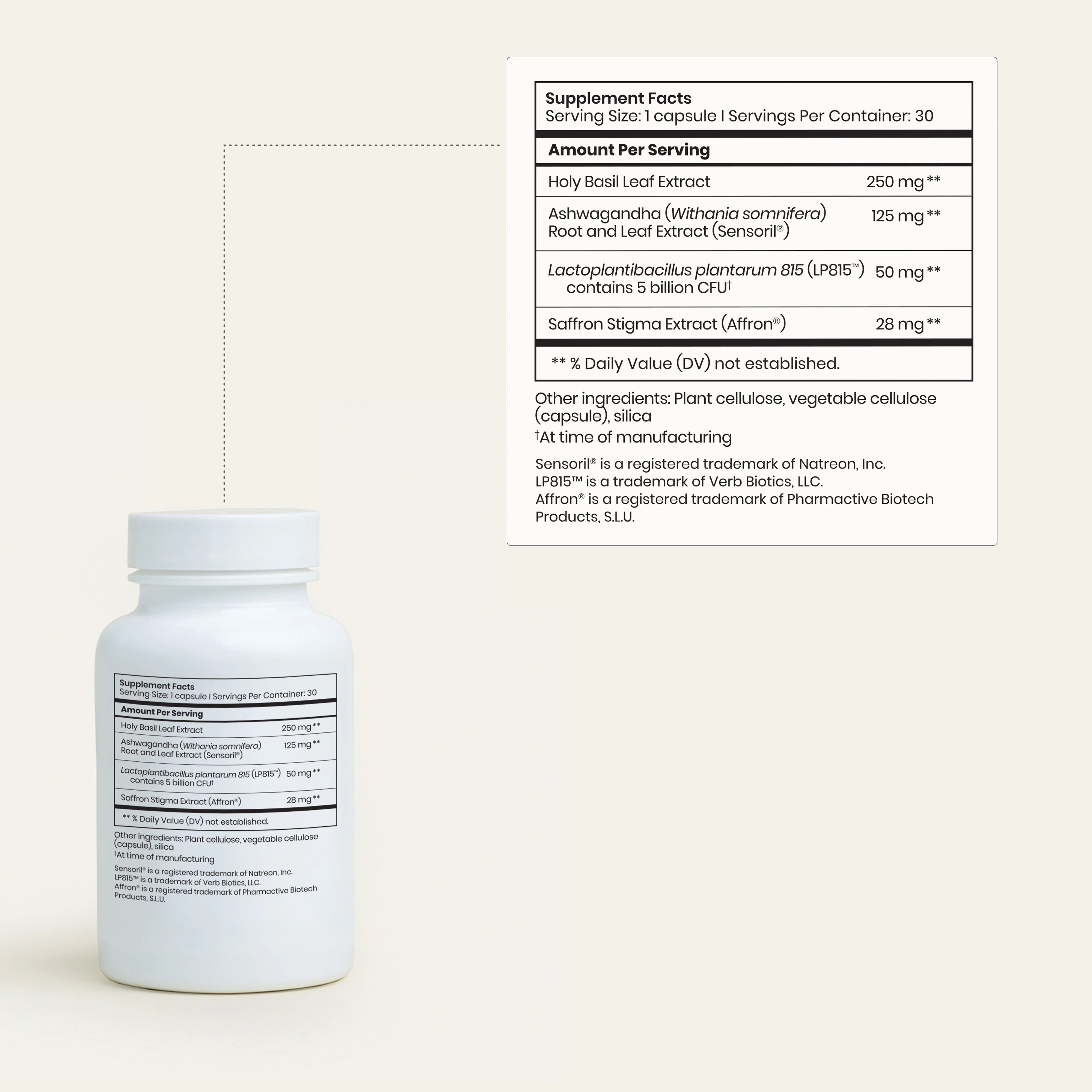 Perimenopause Bundle - Image 7